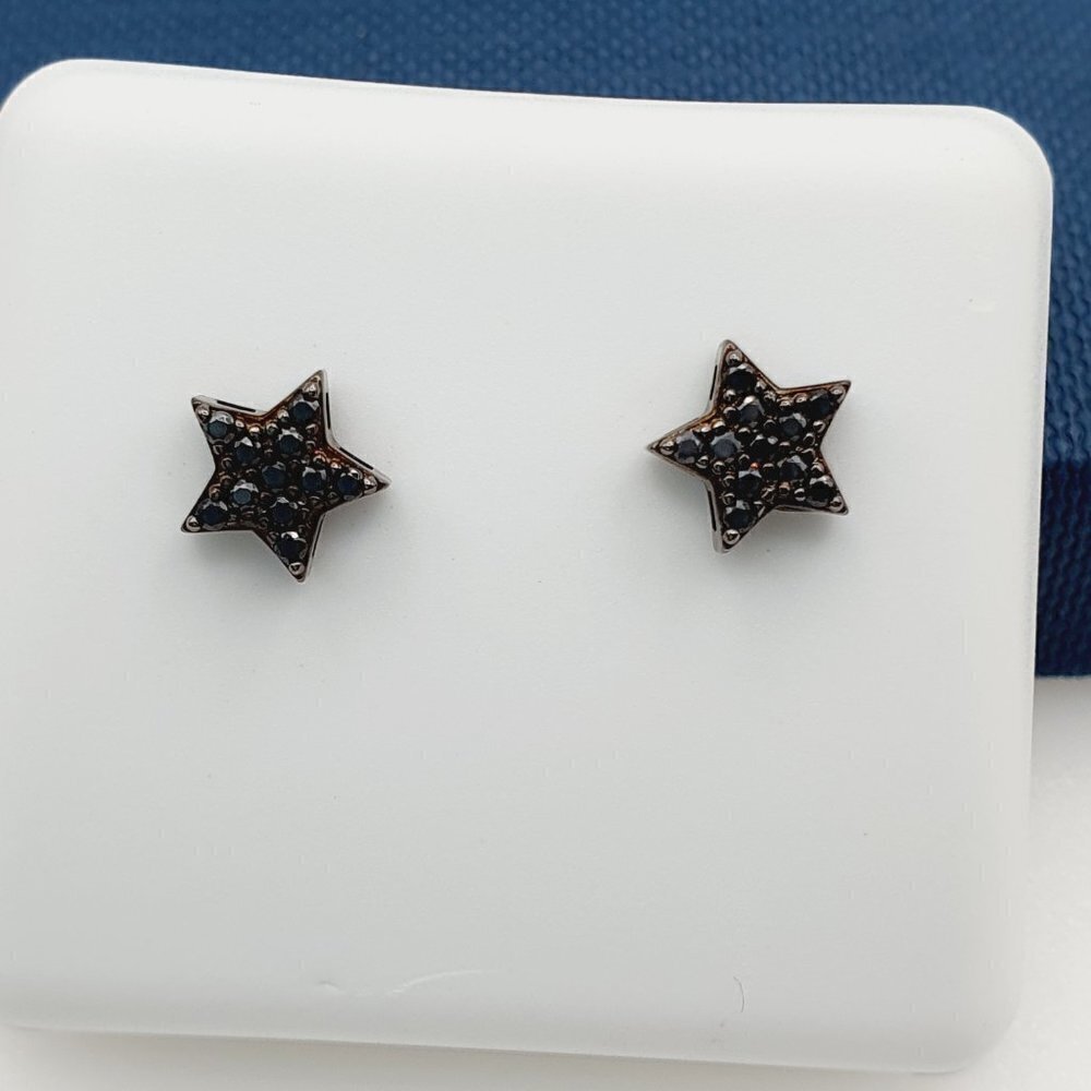"925 Sterling Silver Plated Earrings, INUS1BR051
